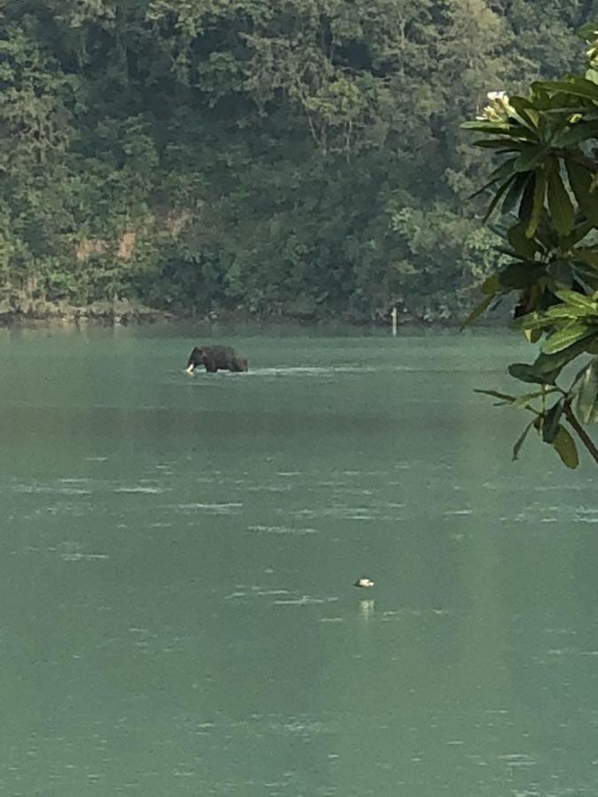 Ganga Forest View Rishikesh Ngoại thất bức ảnh